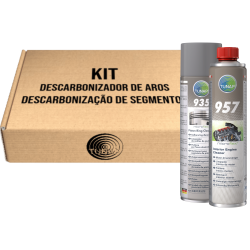 KIT DESCARBONIZACIÓN DE SEGMENTOS