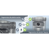 KIT DESCARBONIZACIÓN DE SEGMENTOS